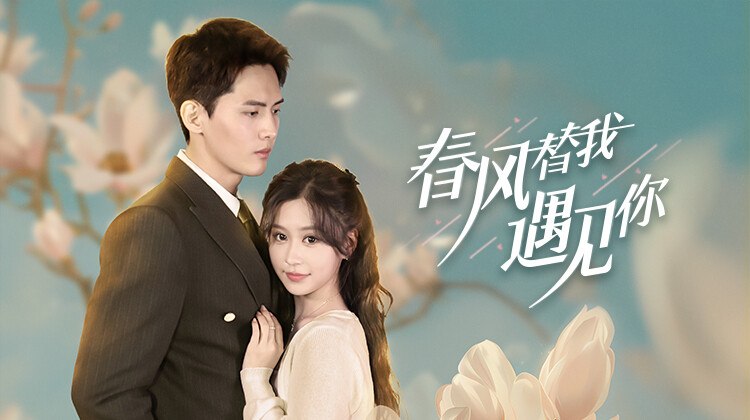 春风替我遇见你作品海报